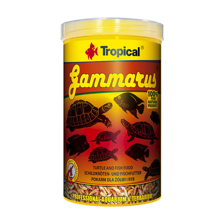 Tropical Gammarus alimento para reptiles, , large image number null